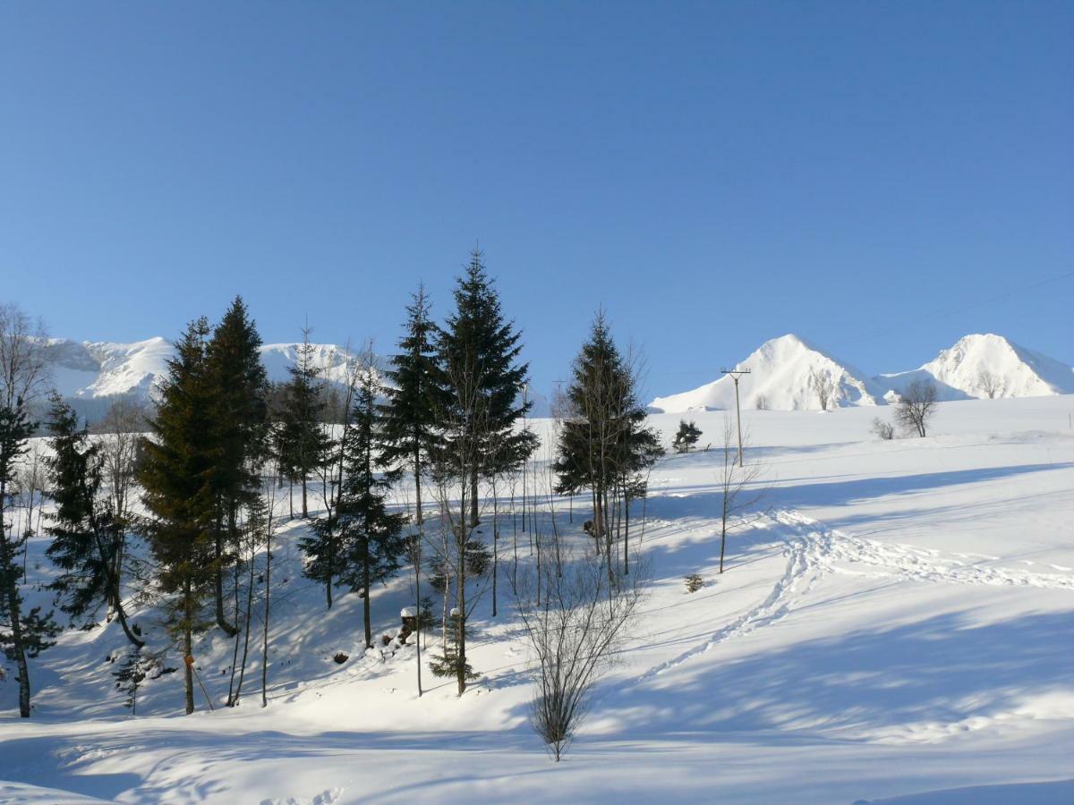Goralska Obora Guest House Zdiar Exterior photo